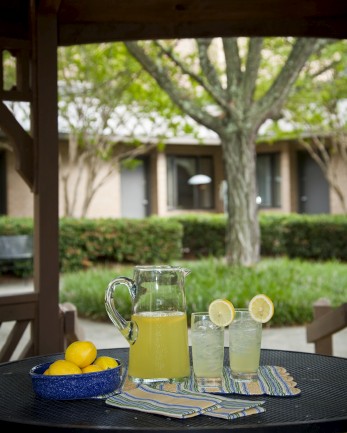 The Laurels of University Park: Courtyard